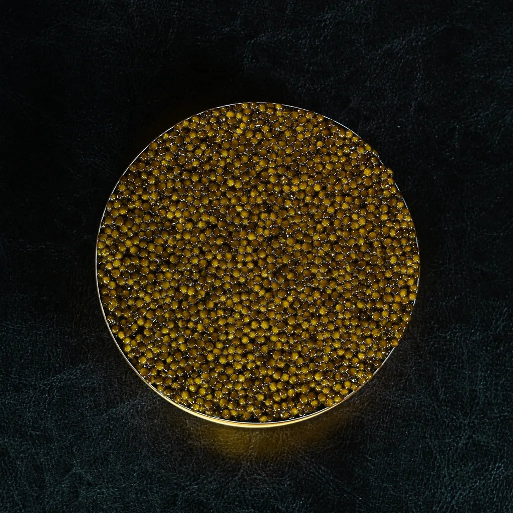 Russian Osetra Caviar