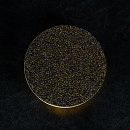 Kaluga Hybrid Caviar